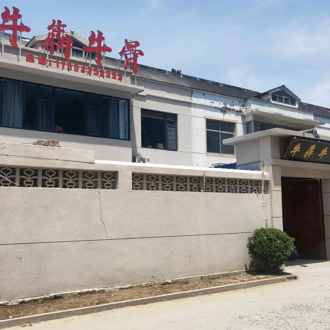 滨州牛犇牛骨—宋宁