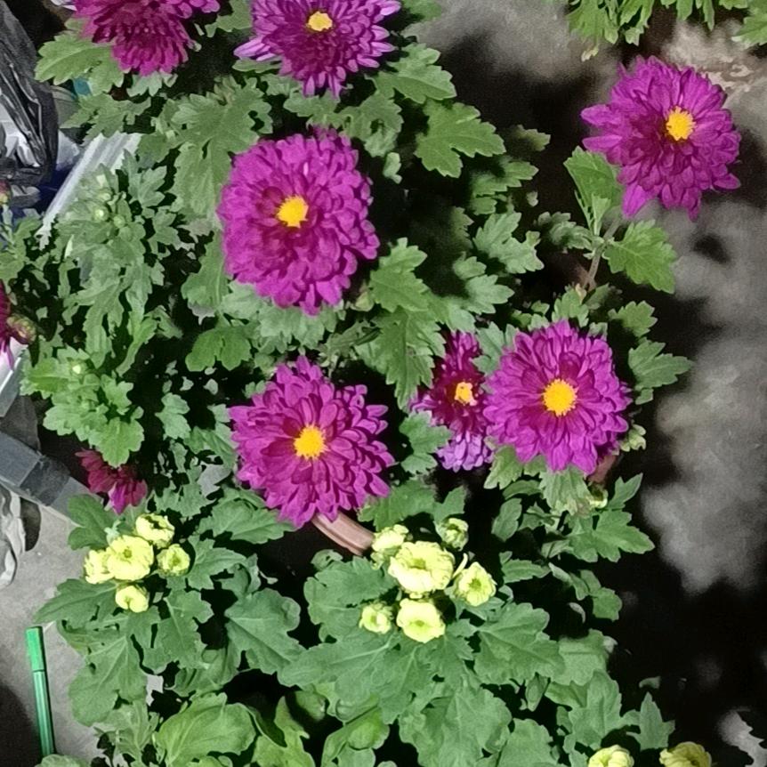 夕悦五金机电商行（润川）