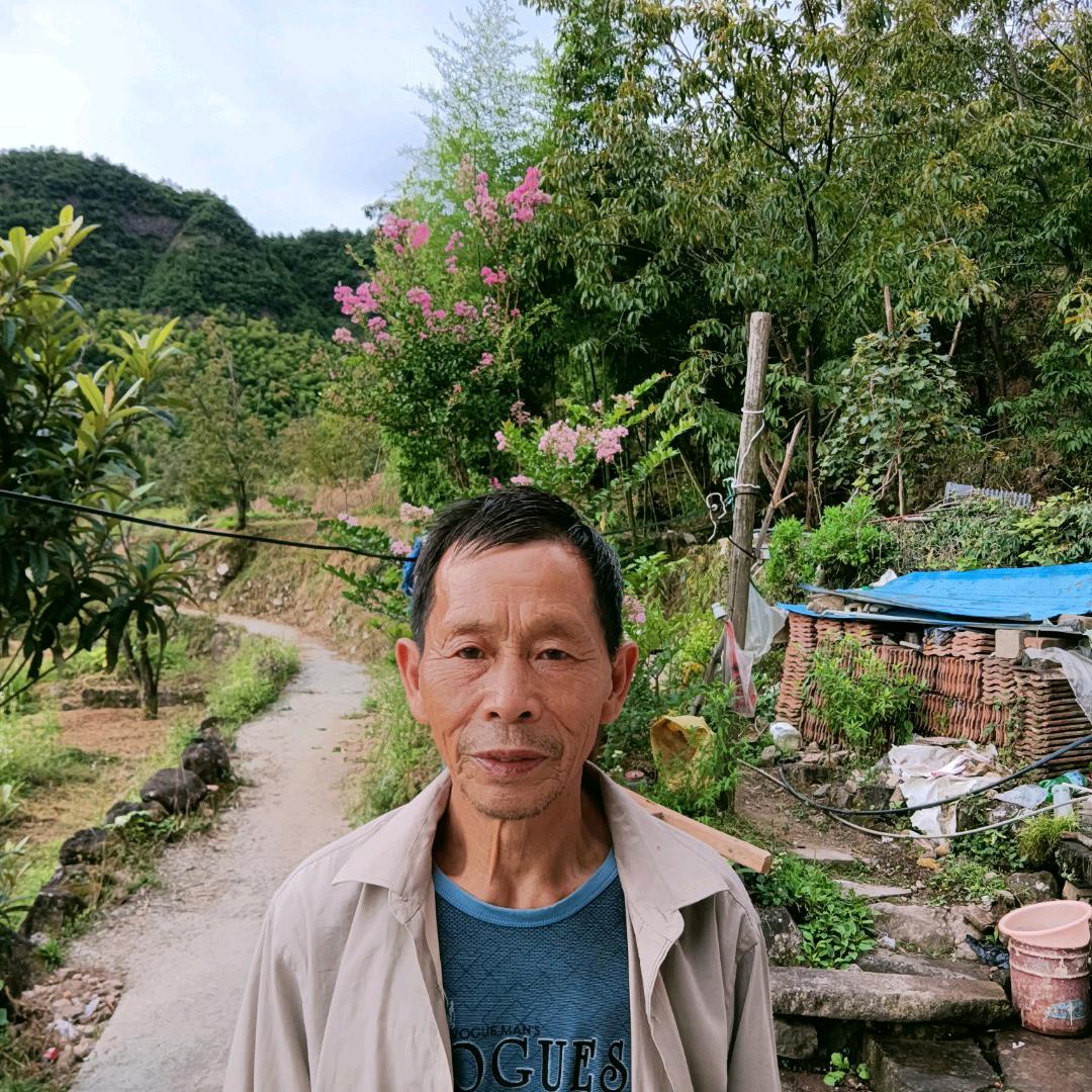 我鸿0加头像