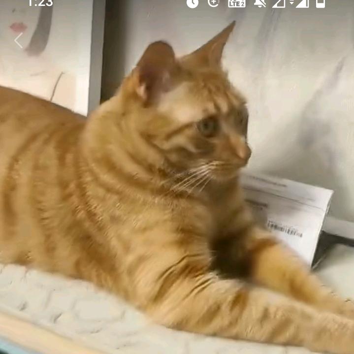 威远华硕彬彬哥