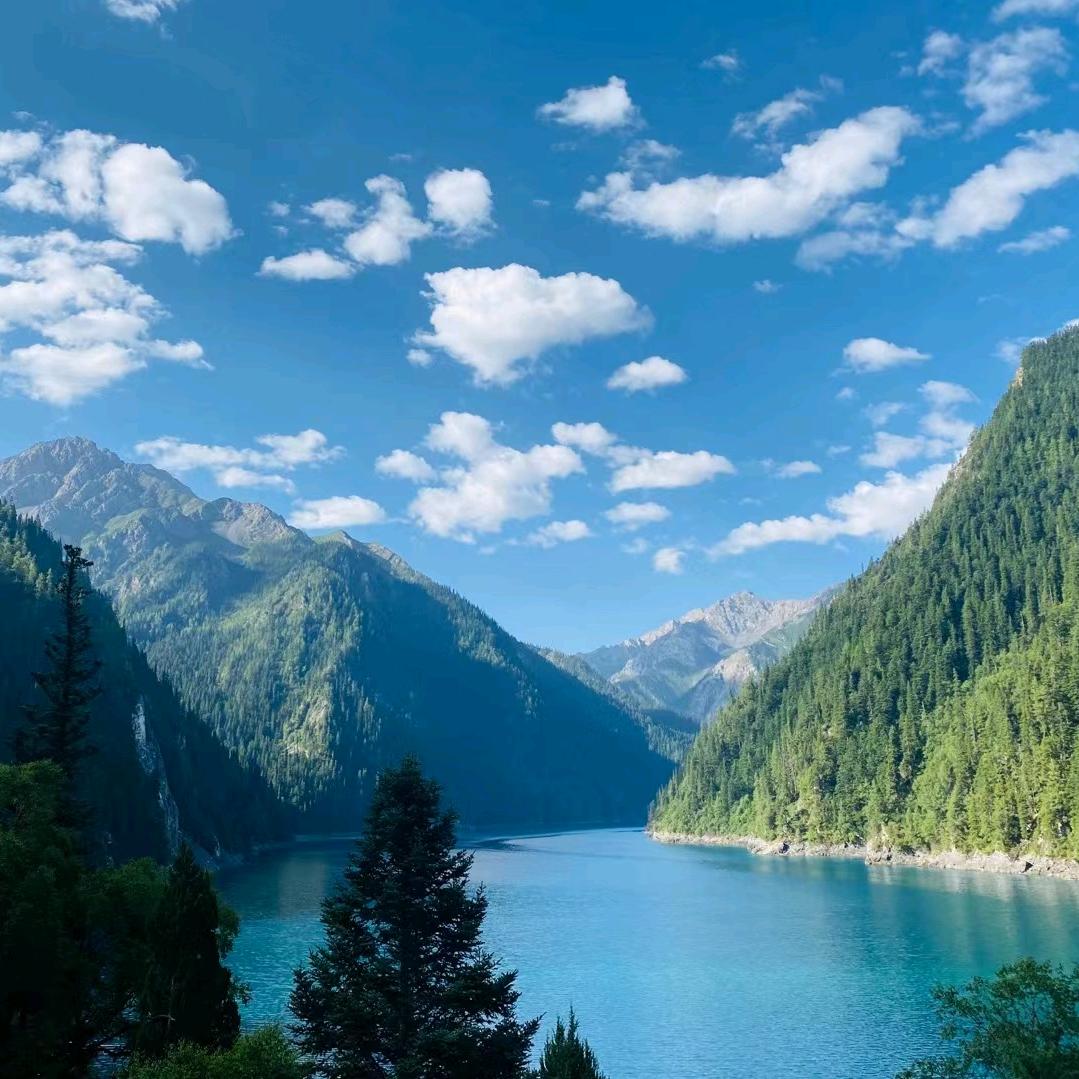 兵哥哥958097445181