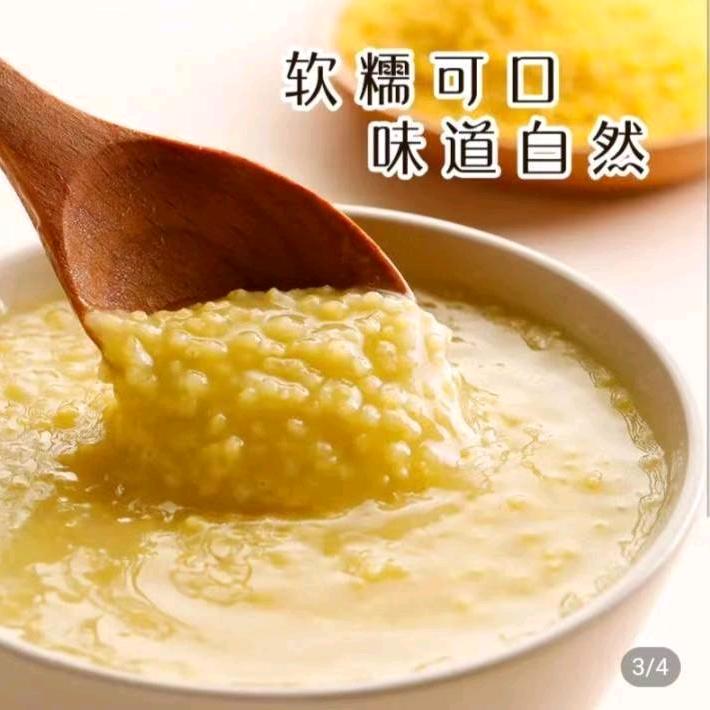 东北小燕子