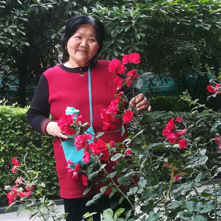 阜茬镇专业说媒