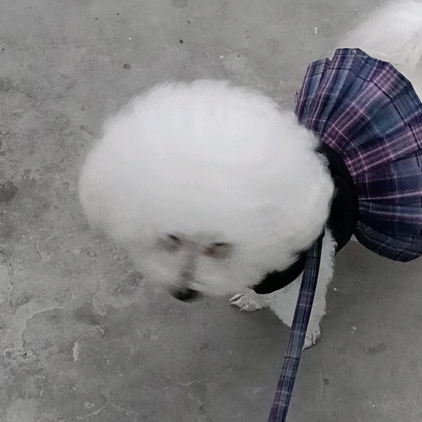 小东北