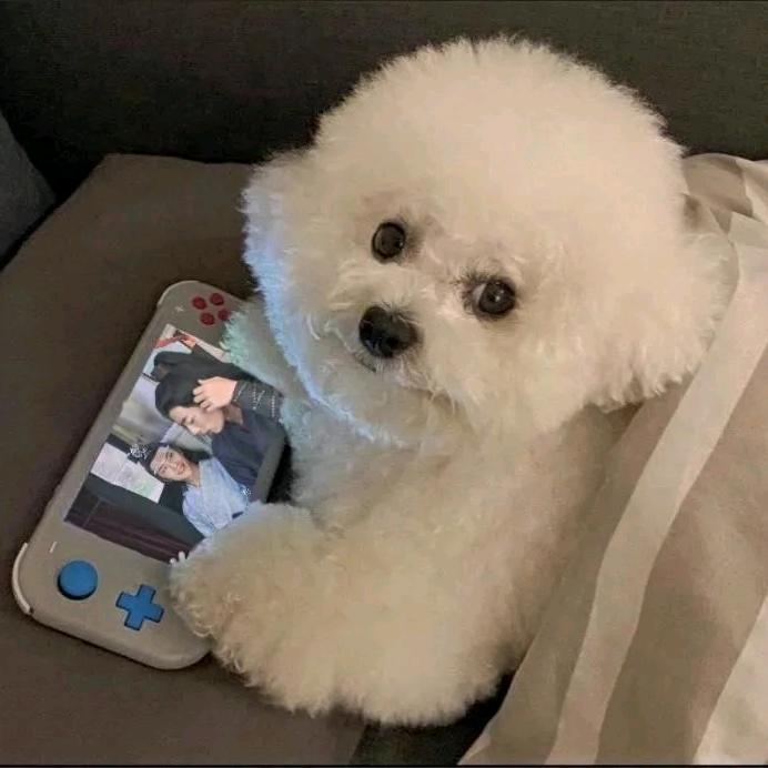 千亿聘礼小乐乐头像
