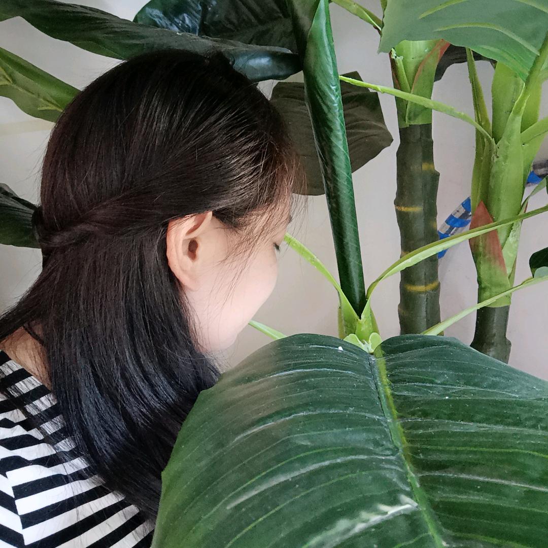 🌺孤凉🌺