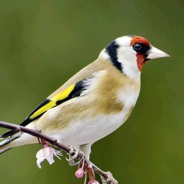 余生在𣎴打扰你