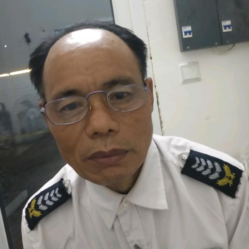何万木