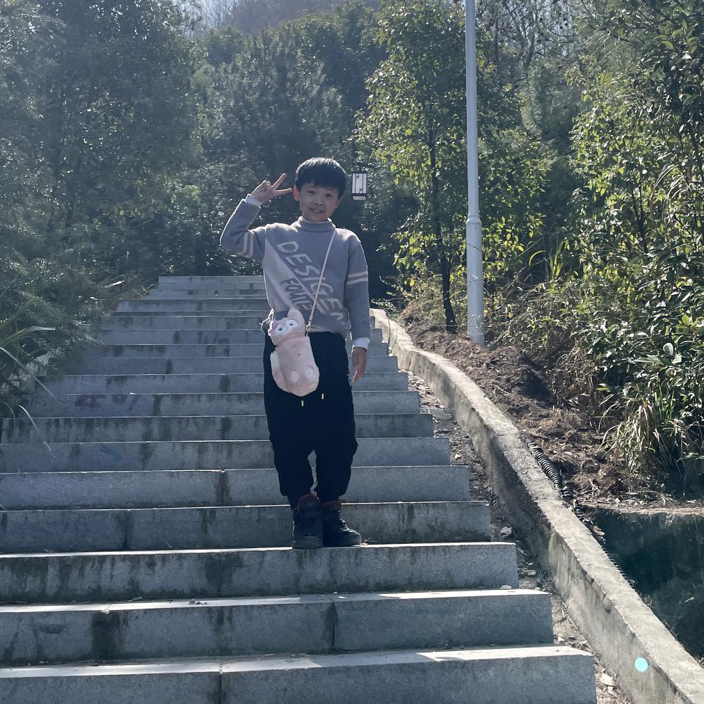 老鹰🦅