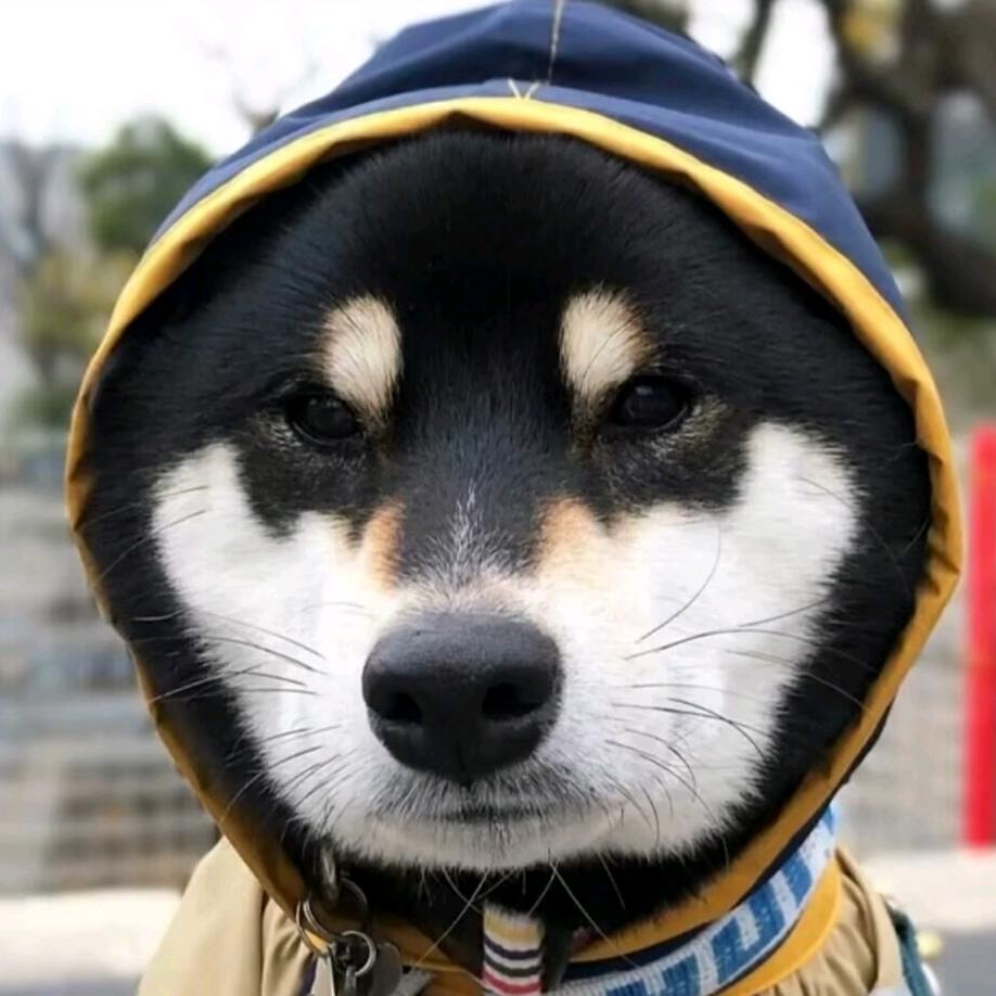 小鱼嘻嘻