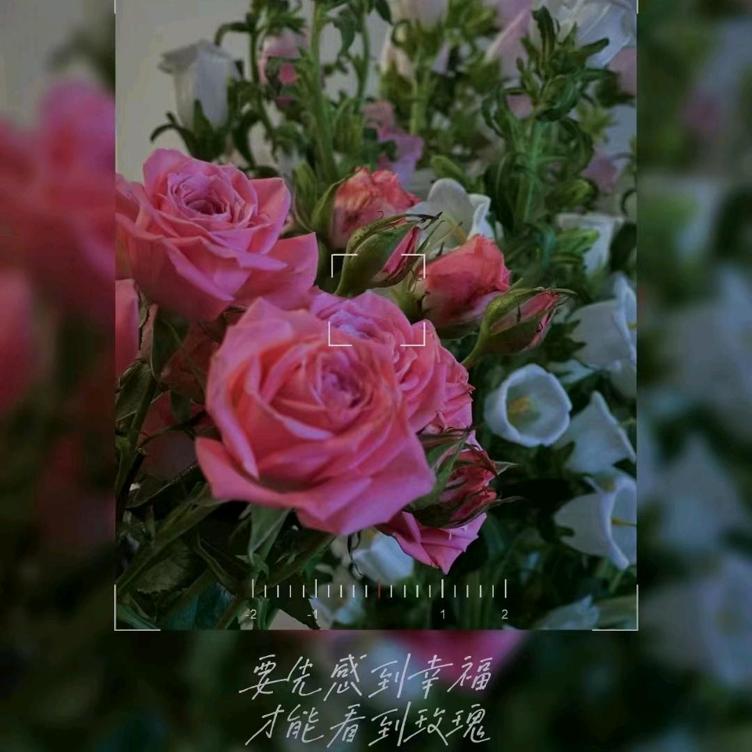 🍃才子佳人🌾