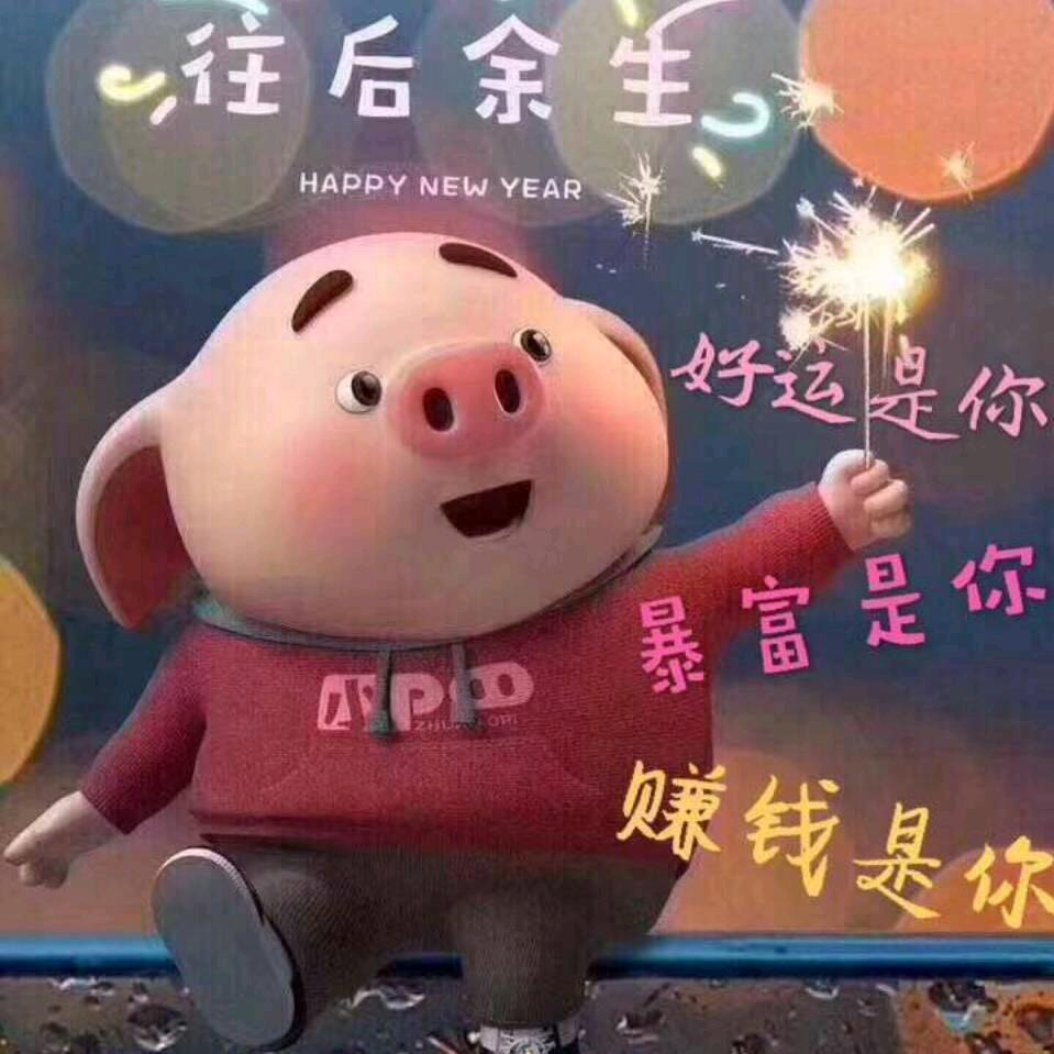 HAPPY🐷
