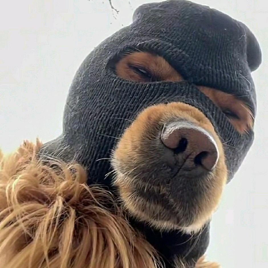 嗨嗨的迷子