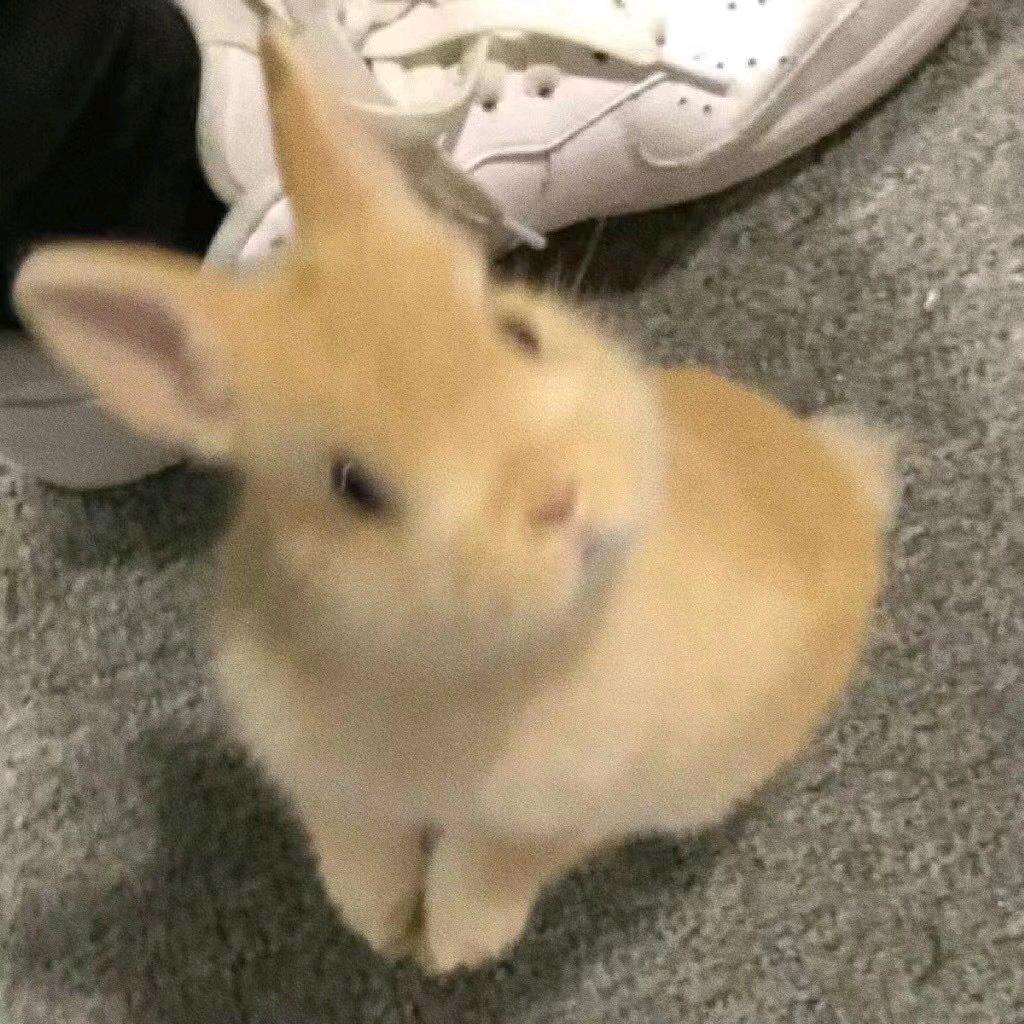 小七