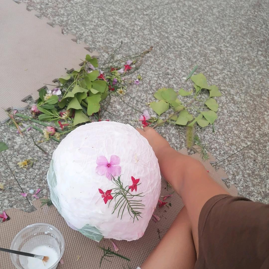 一只小松鼠🐿️🐿️