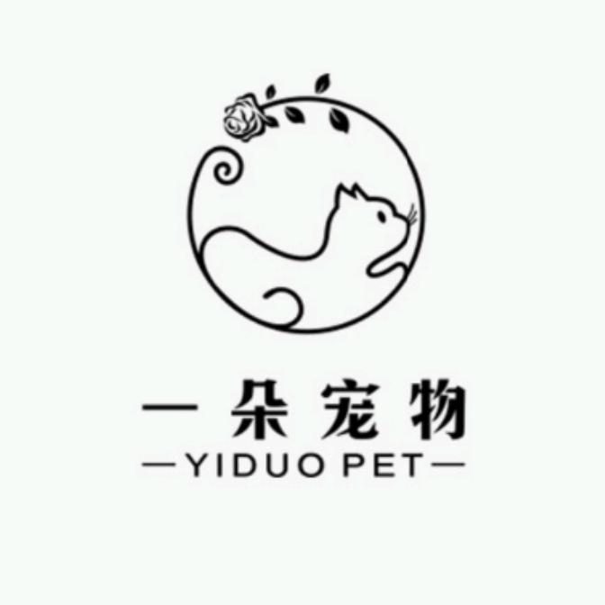 哈尔滨一朵猫舍（一朵宠物）