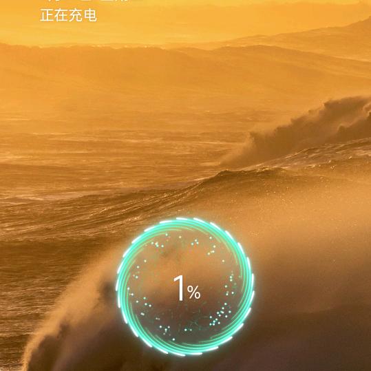 真心