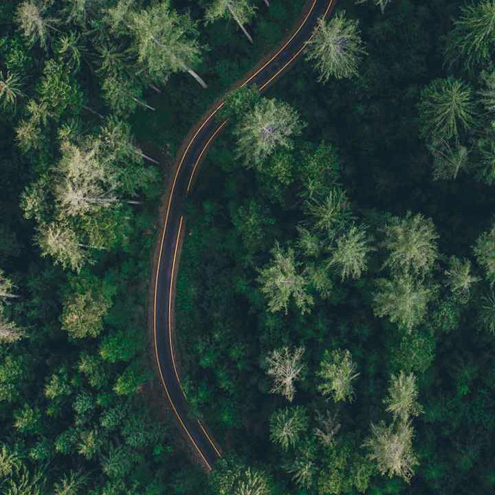 扯淡的过往