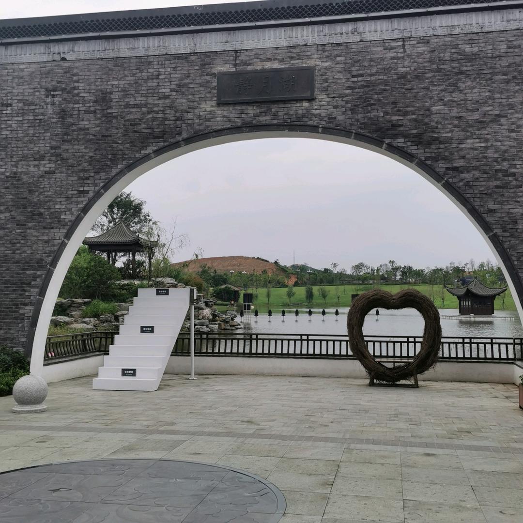 伪装