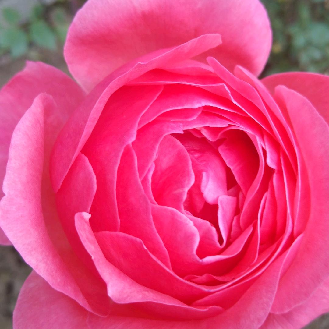 刘德华顺风顺水6666668888888