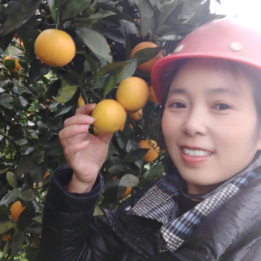 梅姐原生态果园