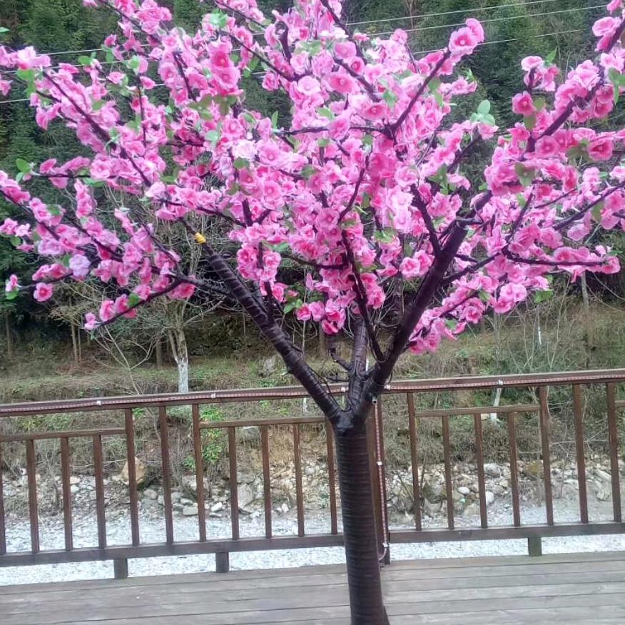 有哥，寻找朋友