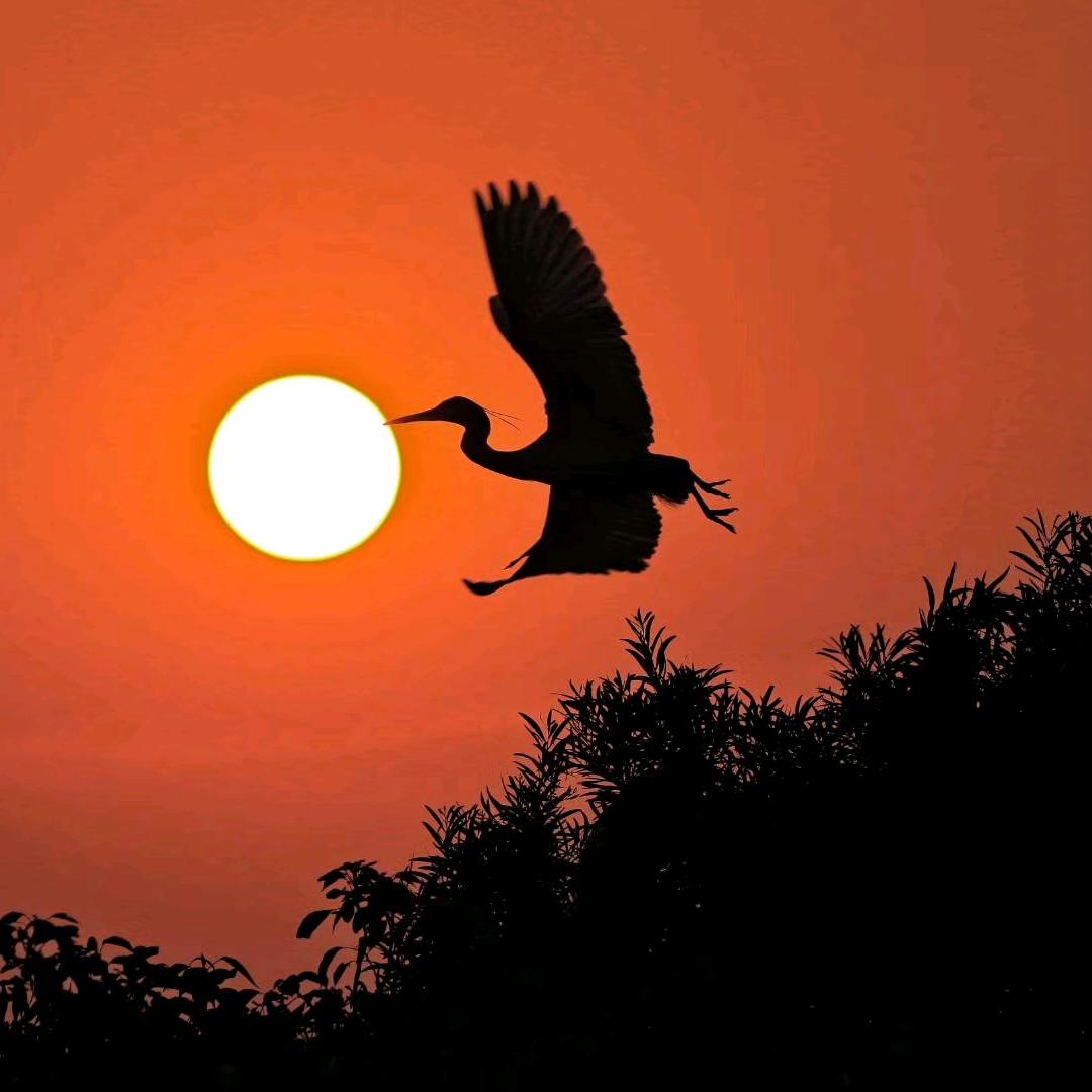 独走人海（旅行）