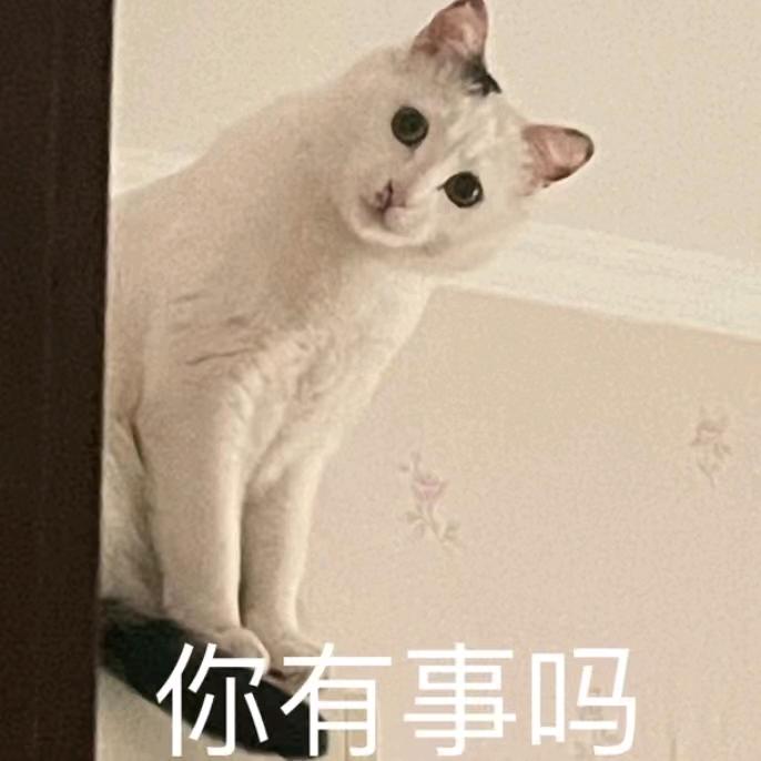 一枚杏仁酥