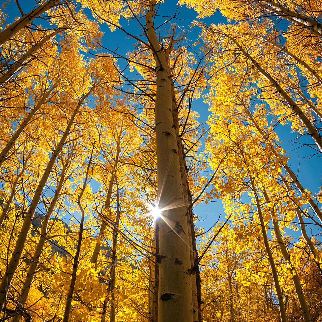 蛋仔牟某人解说游戏