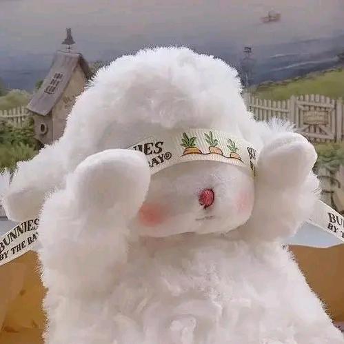 ✨小～逯乱撞✨