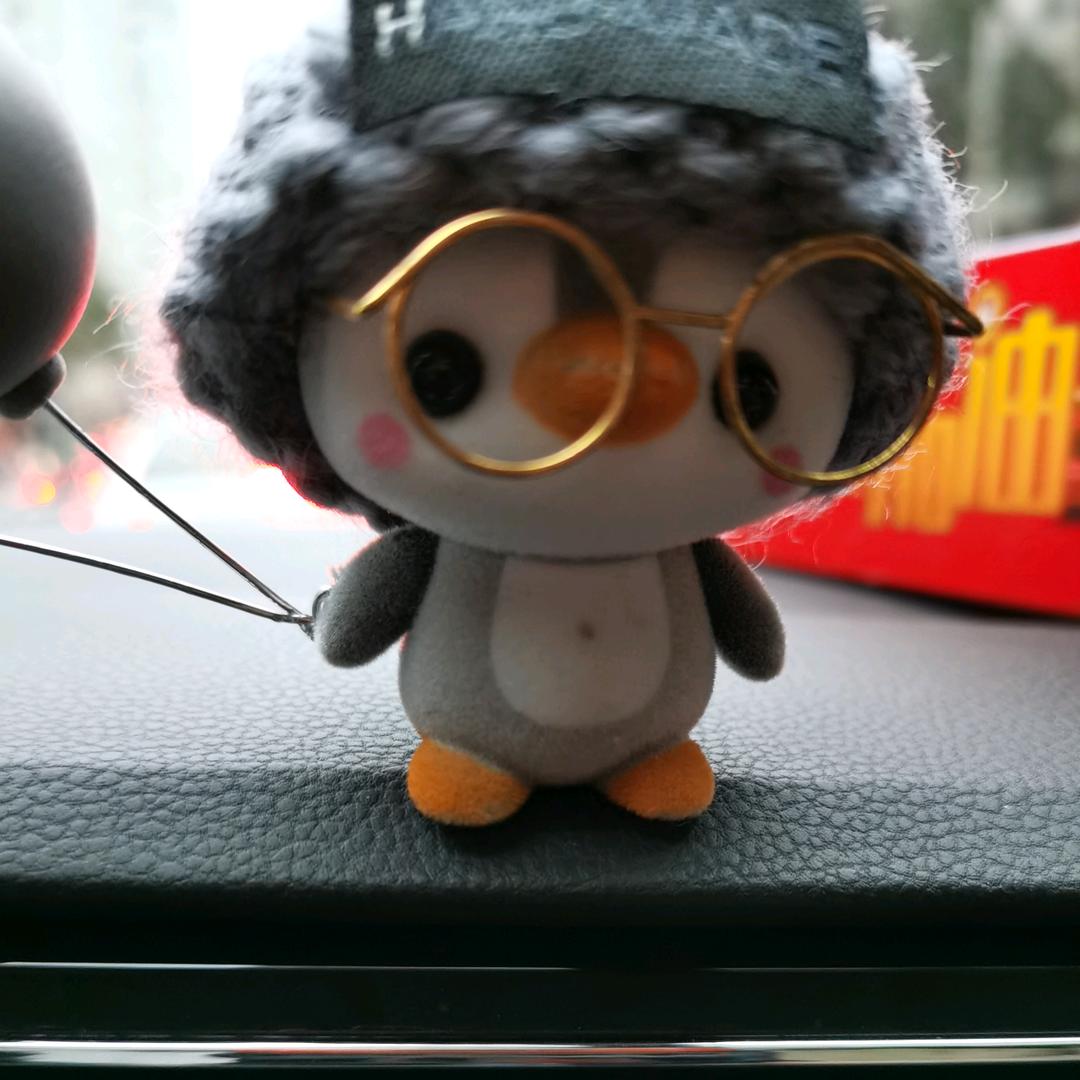 小段老师