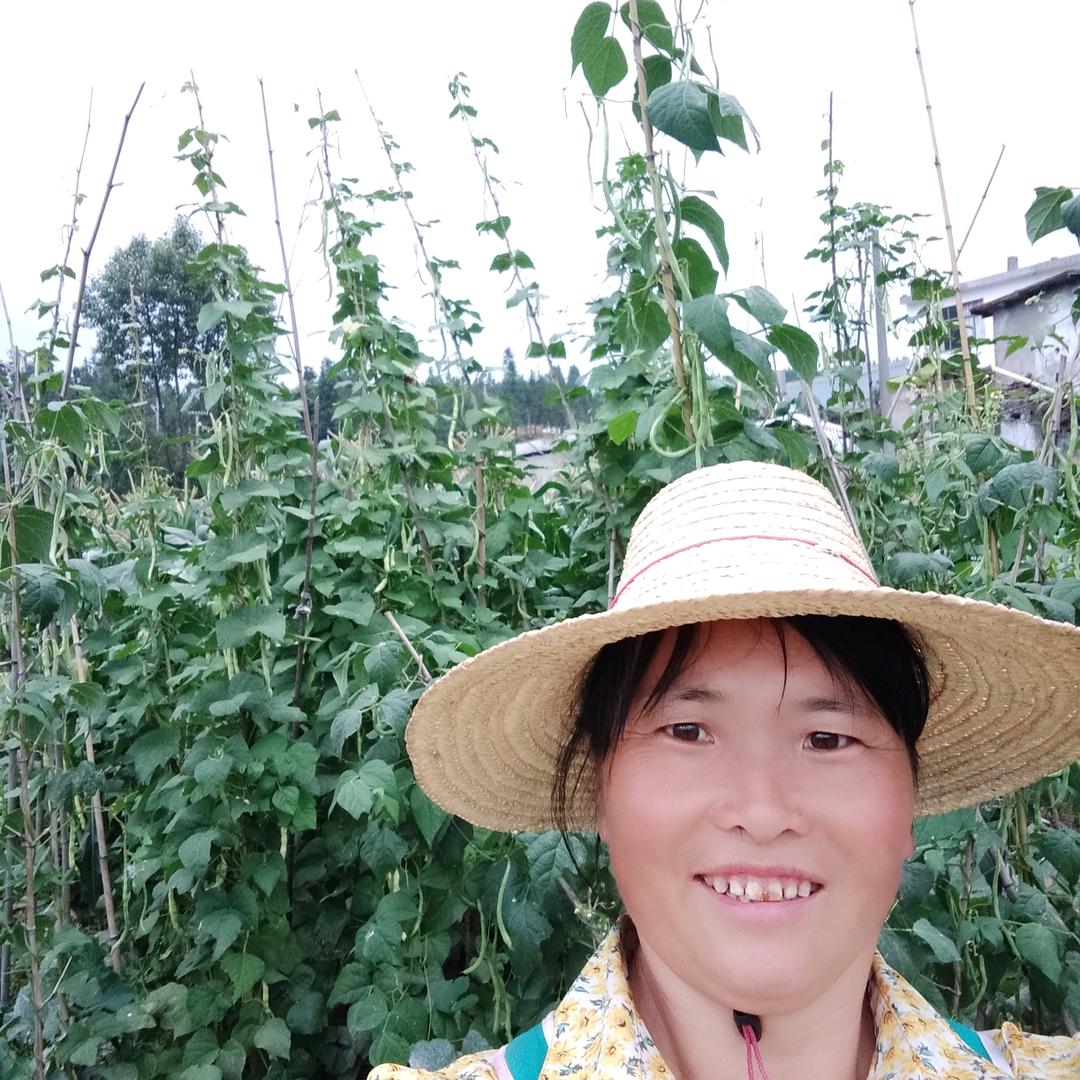 看谈一切