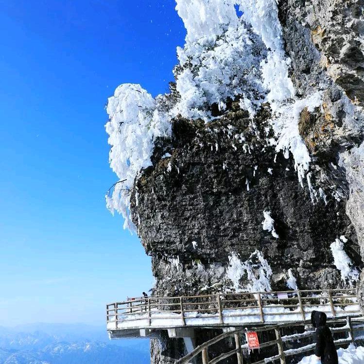 汉中阿林