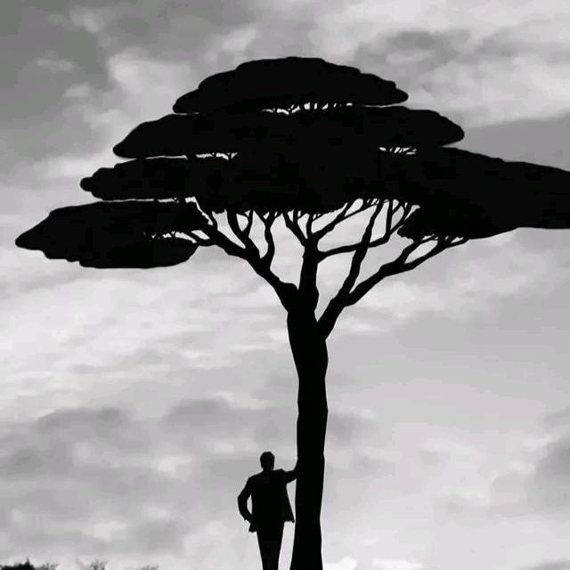 笑看人生