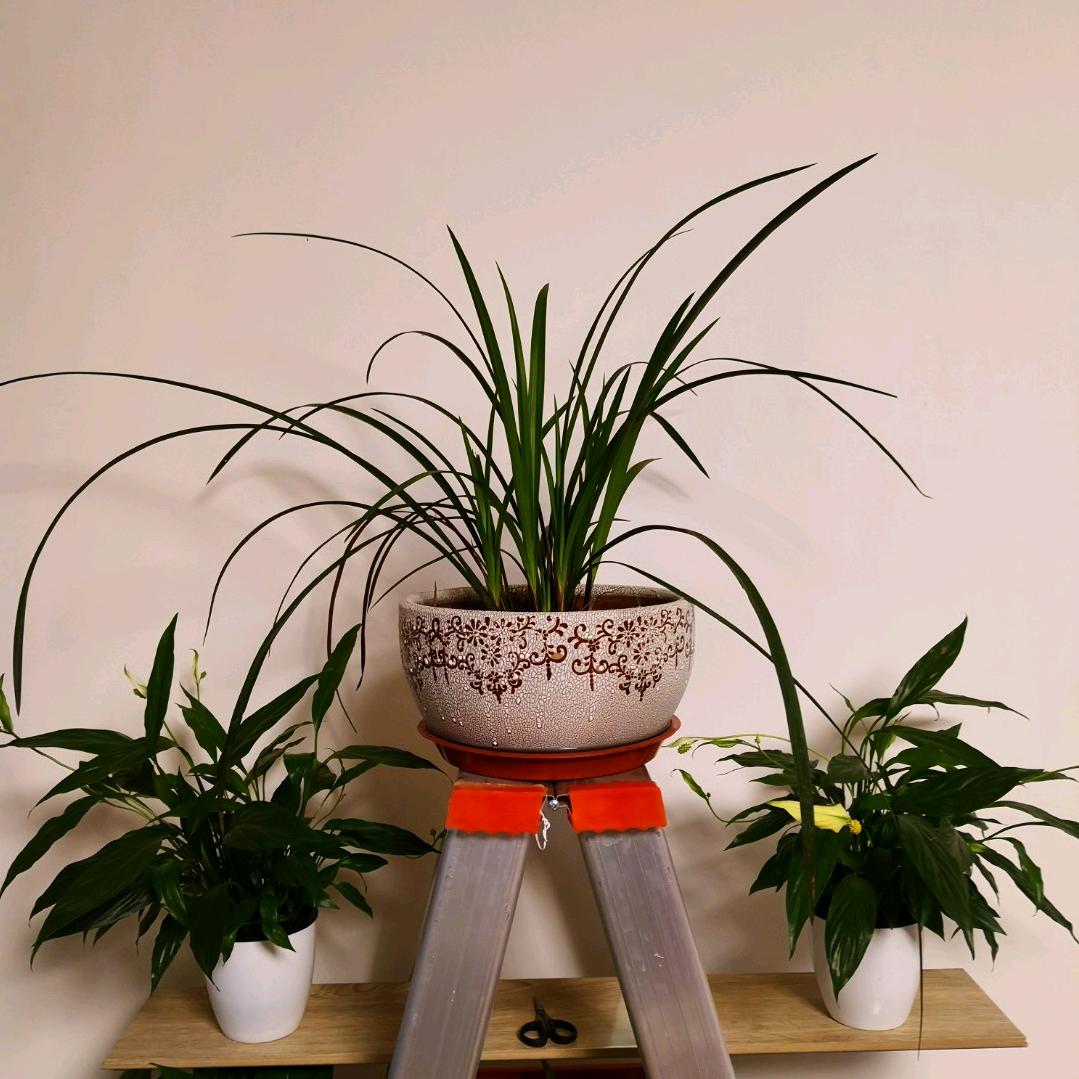 🇨🇳随遇而安