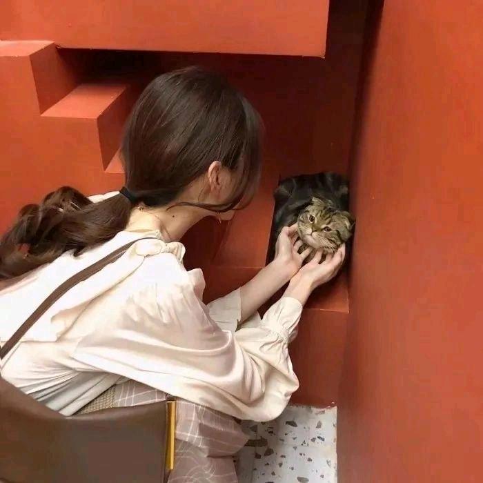 @@琴
