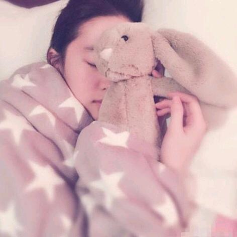 🐨天乐