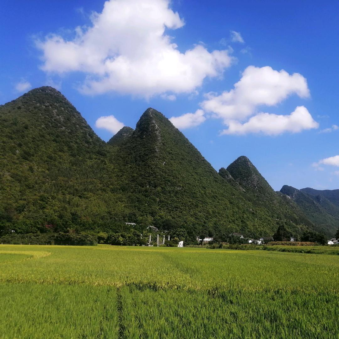 山清水秀