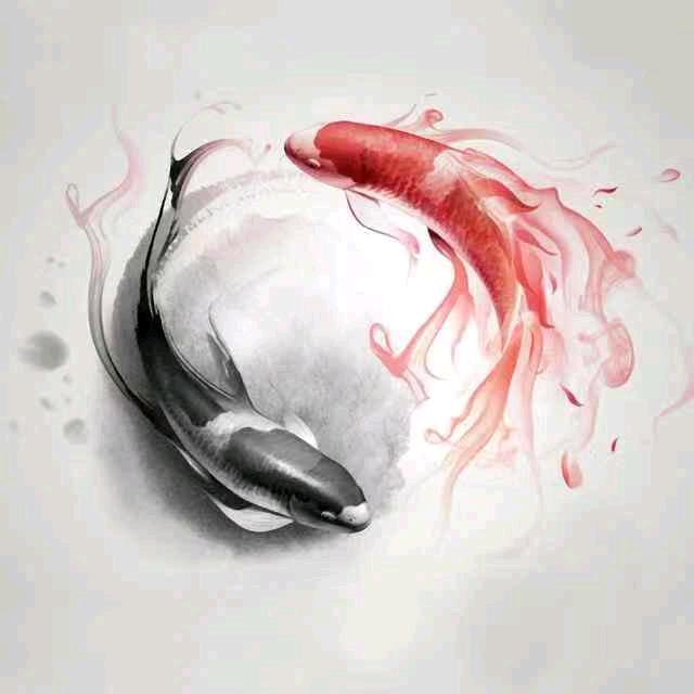 王不留行♏