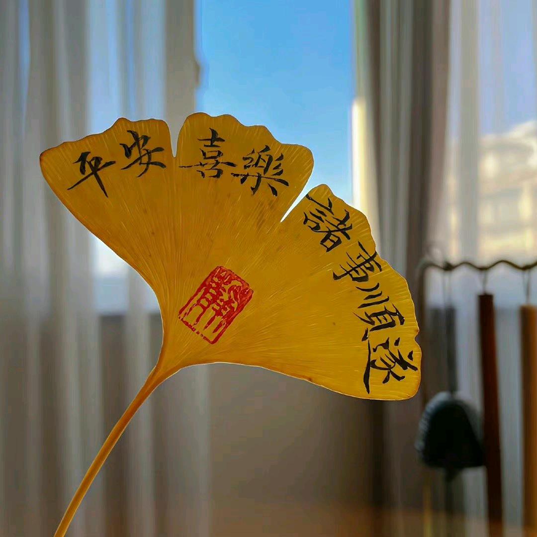 光阴独白