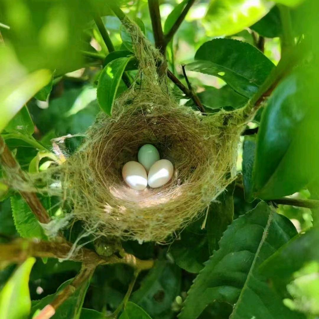 临沧山货土特产批发