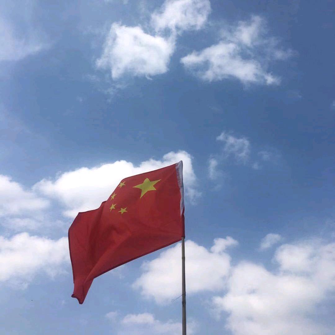 和平鸽🕊