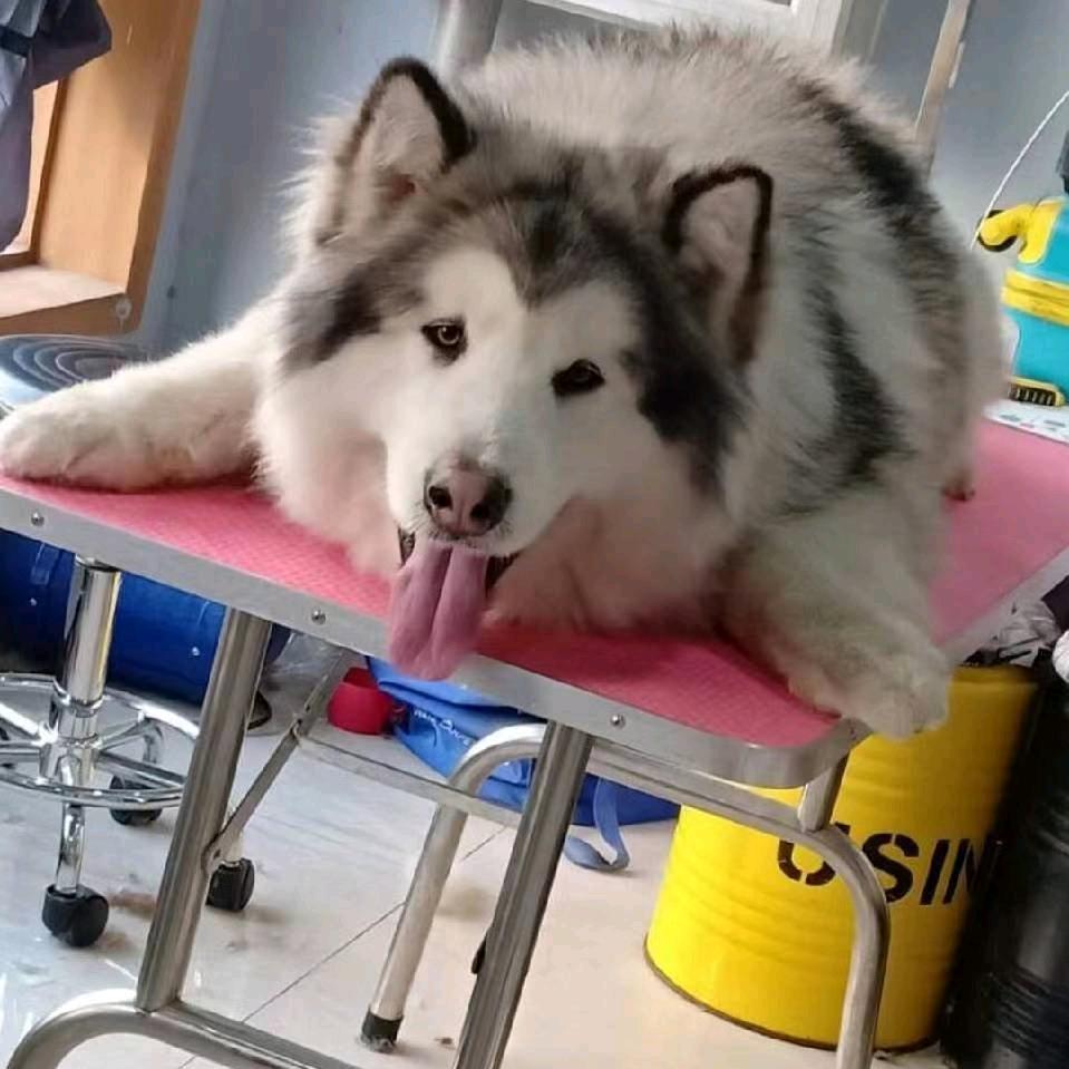 香辣鸡腿堡