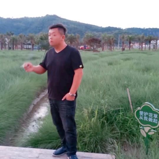 陈哥
