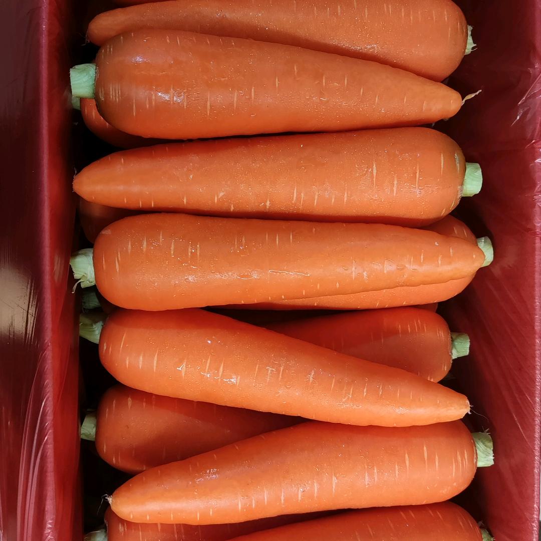 日日荣兴蔬菜批发B3017档