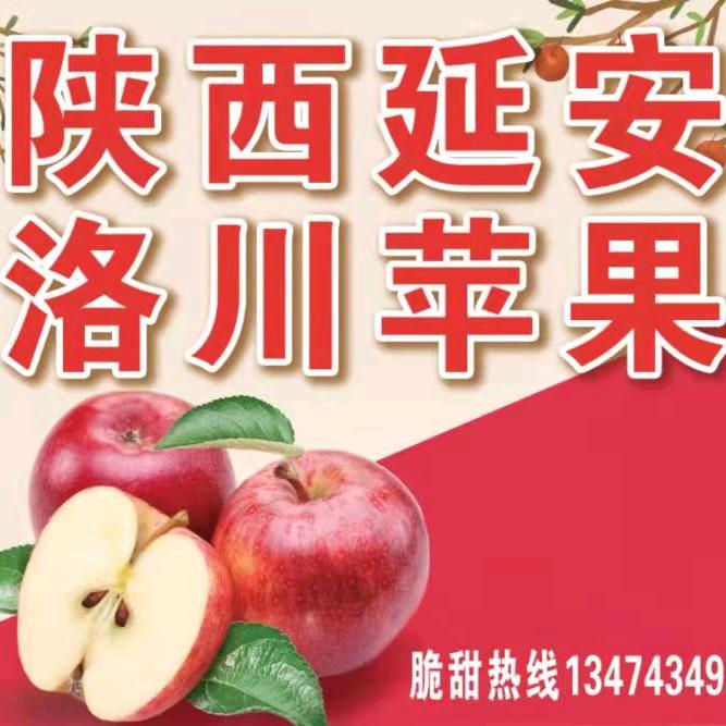 苹果，小宋。