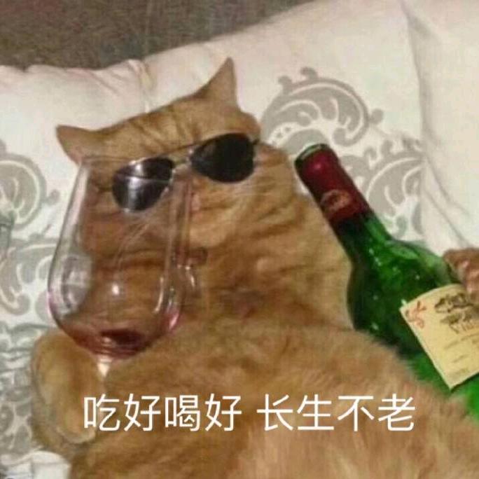 芝士沙拉