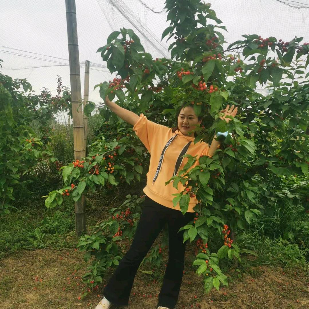 开开心心每一天