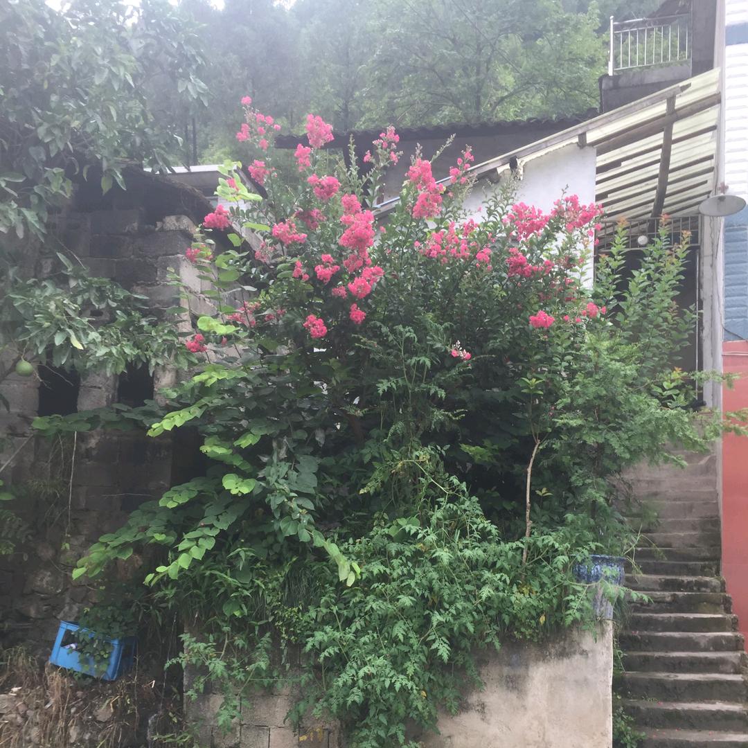 余老太爷