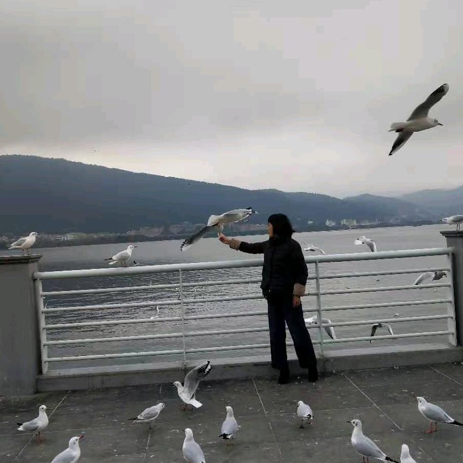 种子